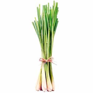 Lemon Grass