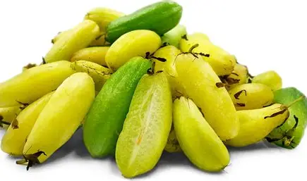 Bilimbi Fruit Seedlings